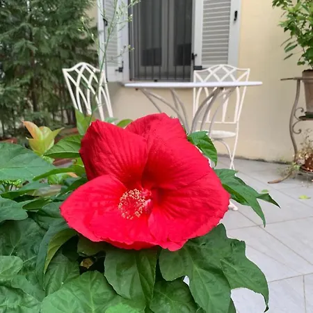 La Terrazza Bed & Charme Guest house