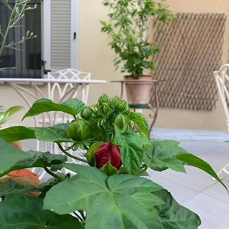 Πανσιόν La Terrazza Bed & Charme