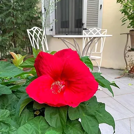 La Terrazza Bed & Charme Vercelli