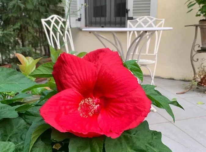 La Terrazza Bed & Charme Guest house